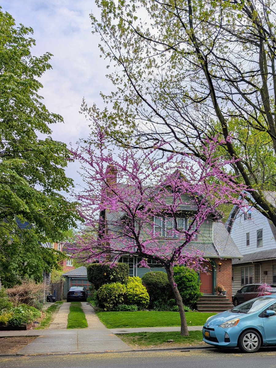 Experdiza's tweet image. Brooklyn after rain 🌧️✨: streets glowing, skyline reflecting, that fresh city vibe hits different 🌆💧 #Brooklyn #NYC #AfterRain #CityLife #Pixel