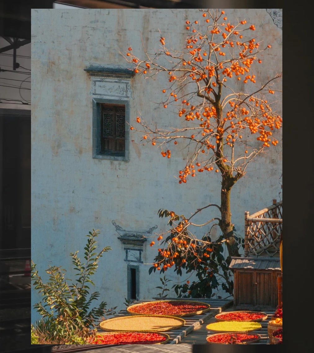 Sandy Adams tweet media