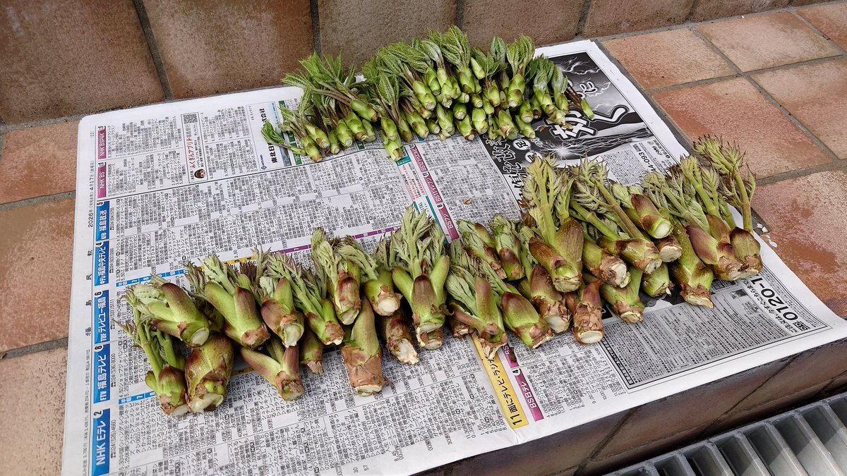 DBY(だばい)【チーム🔥波動拳🔥会長🔥】 tweet media