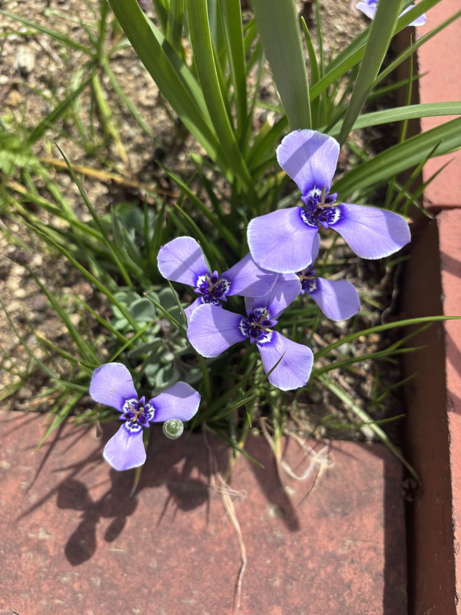 KYモデラーズ・オヤジ 5/16-17 72lab@静岡ホビーショー合同展 tweet media