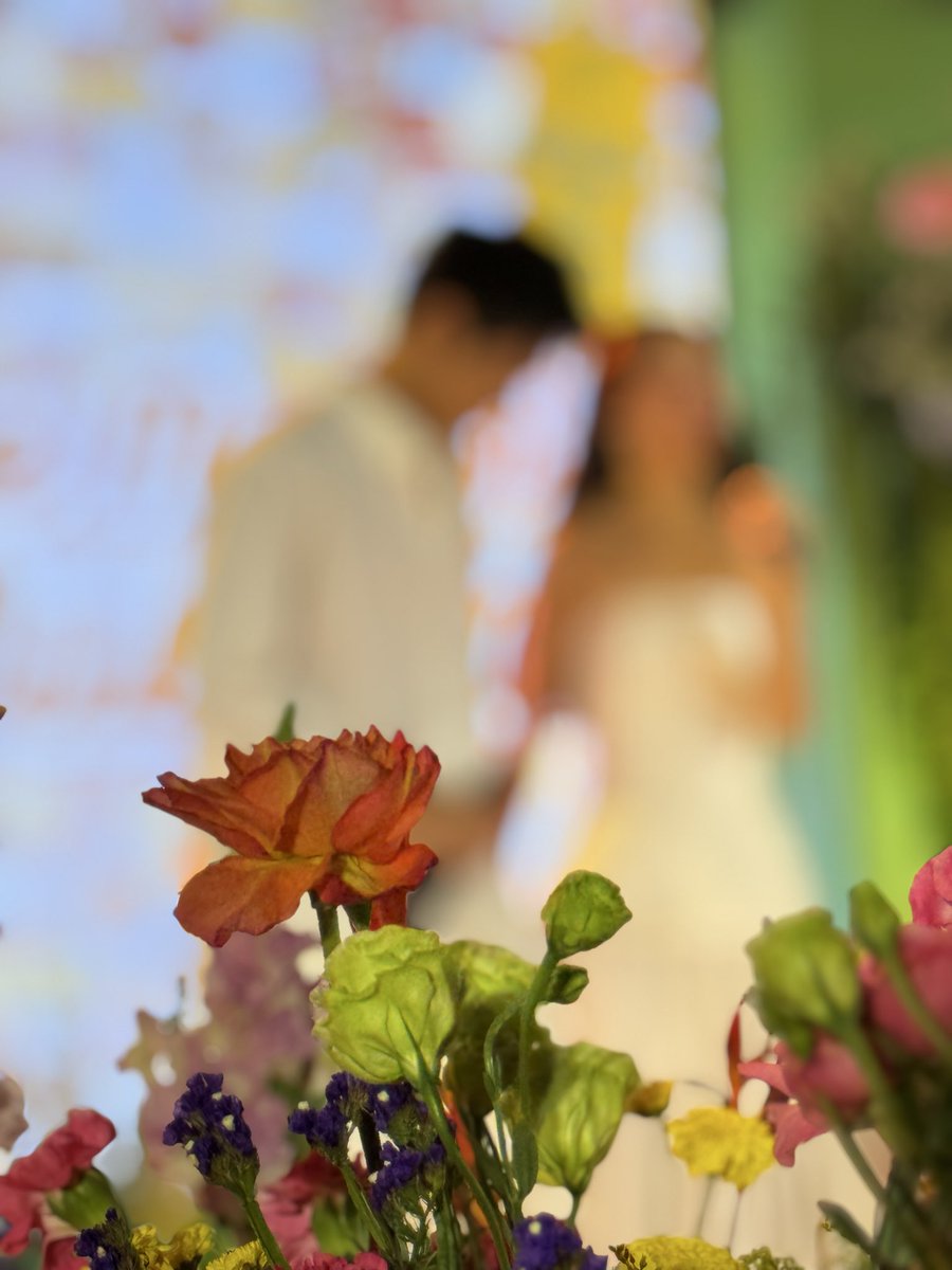 mon dimapilis tweet media