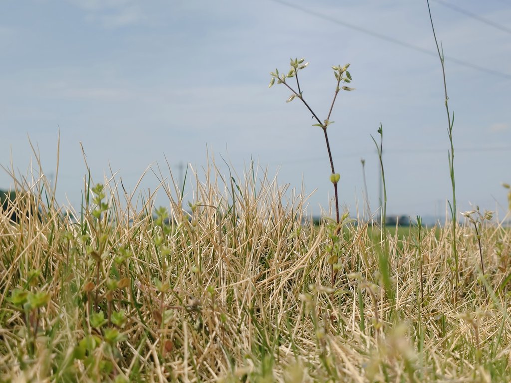 吉田英樹 tweet media