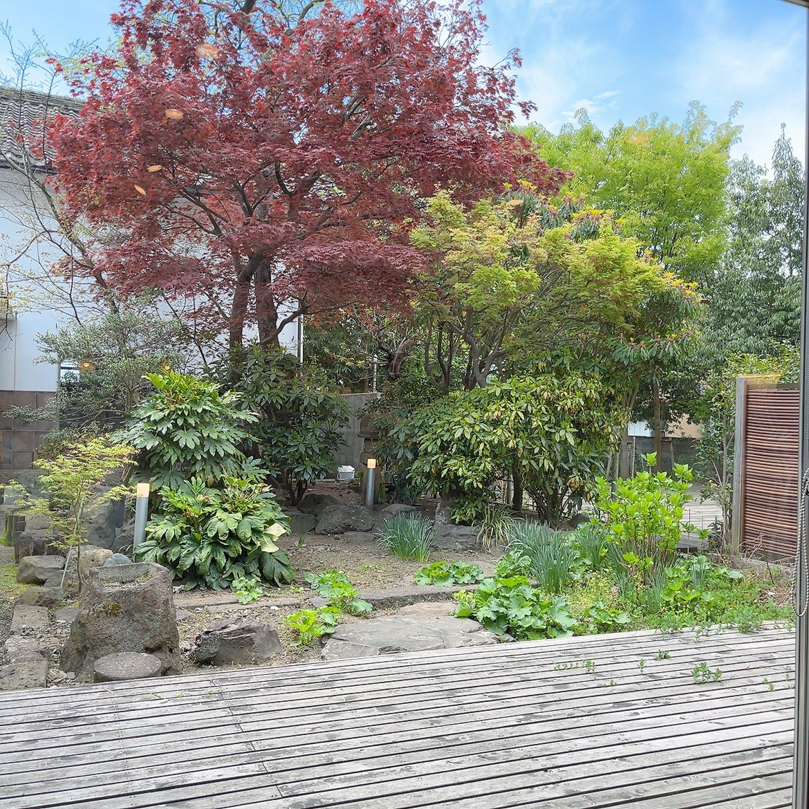 抹茶×レアチーズケーキうま…
 #濃い春