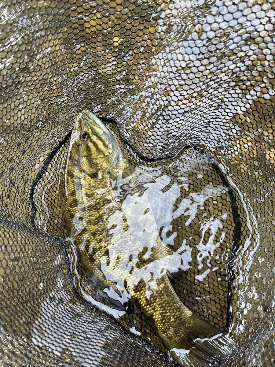 ＣＲＥＷ tweet media