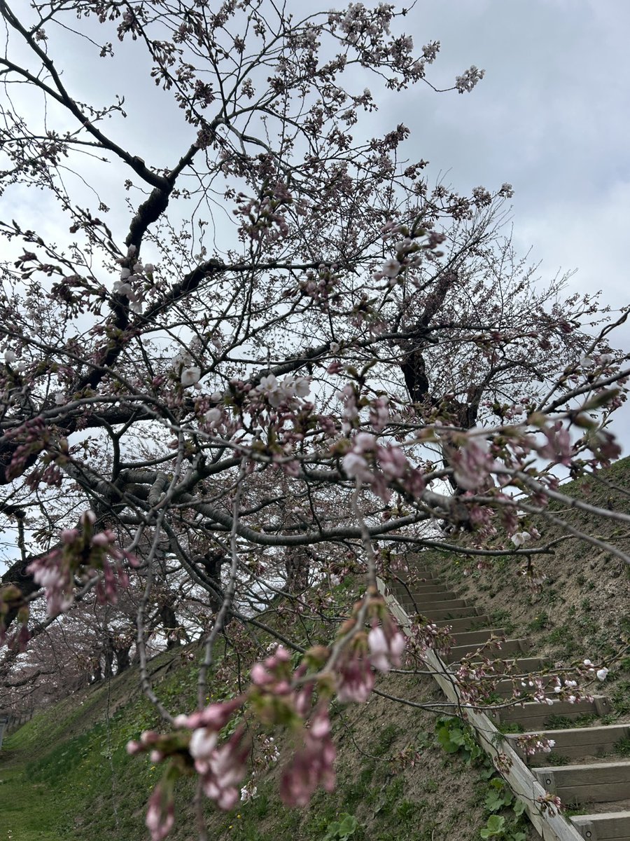 函館市公式観光情報サイト tweet media