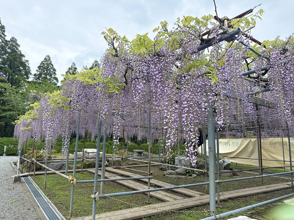 【森岡城】の中の人 tweet media