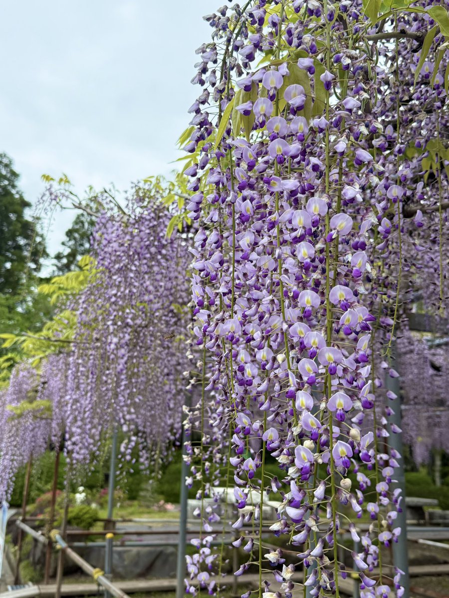 【森岡城】の中の人 tweet media