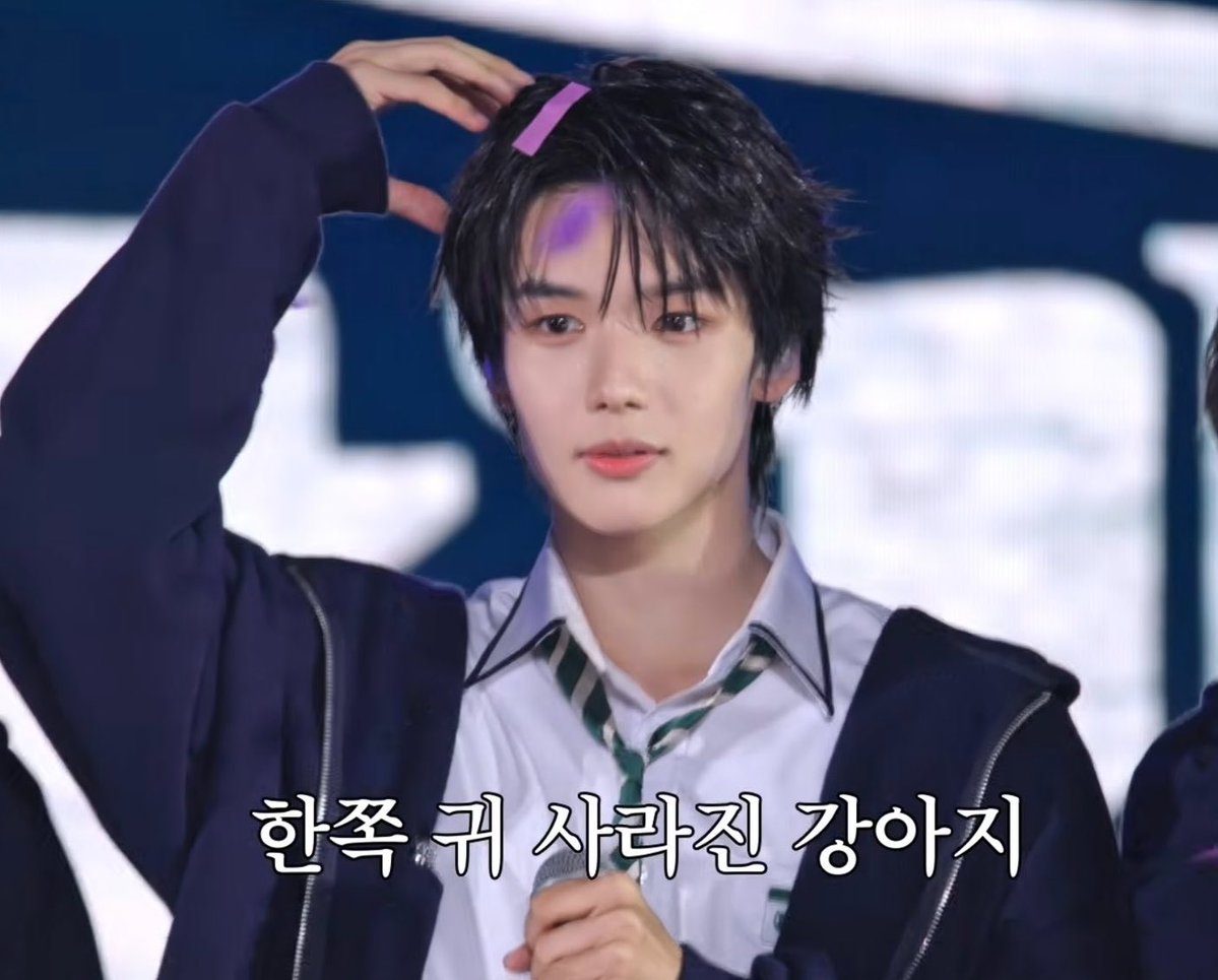 코낸......💤 tweet media