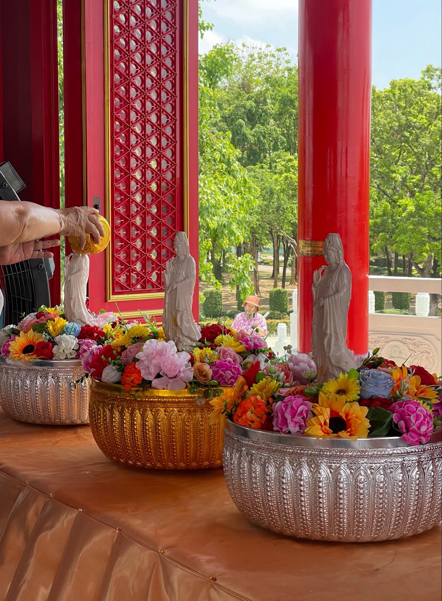 ⛅️🥑✨ tweet media