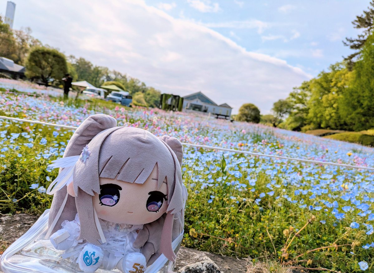 かささび@新刊通販中 tweet media