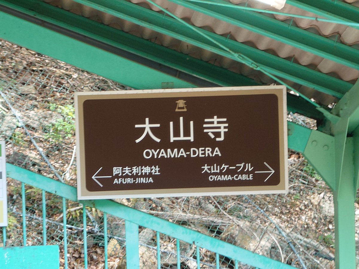 社も寺も見るよ！