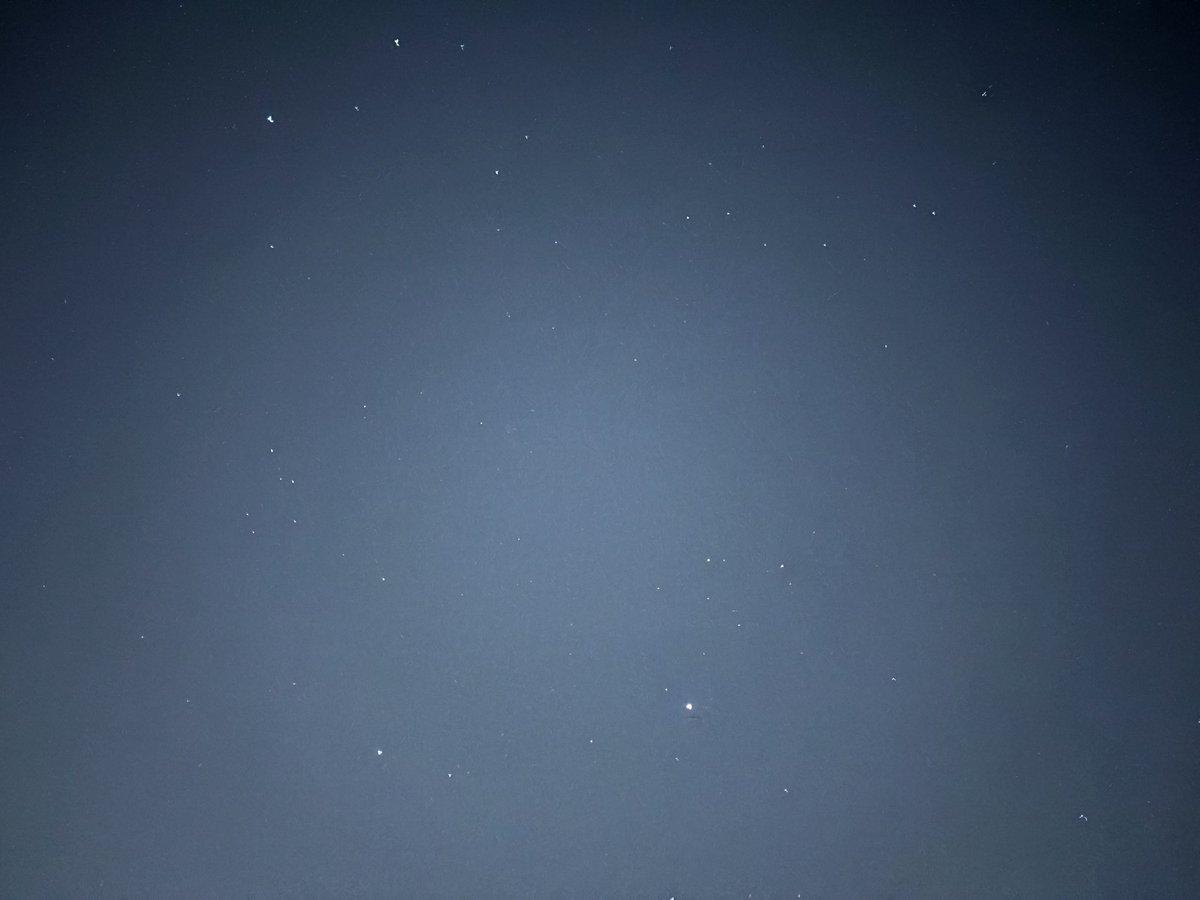 Haylee Moon tweet media