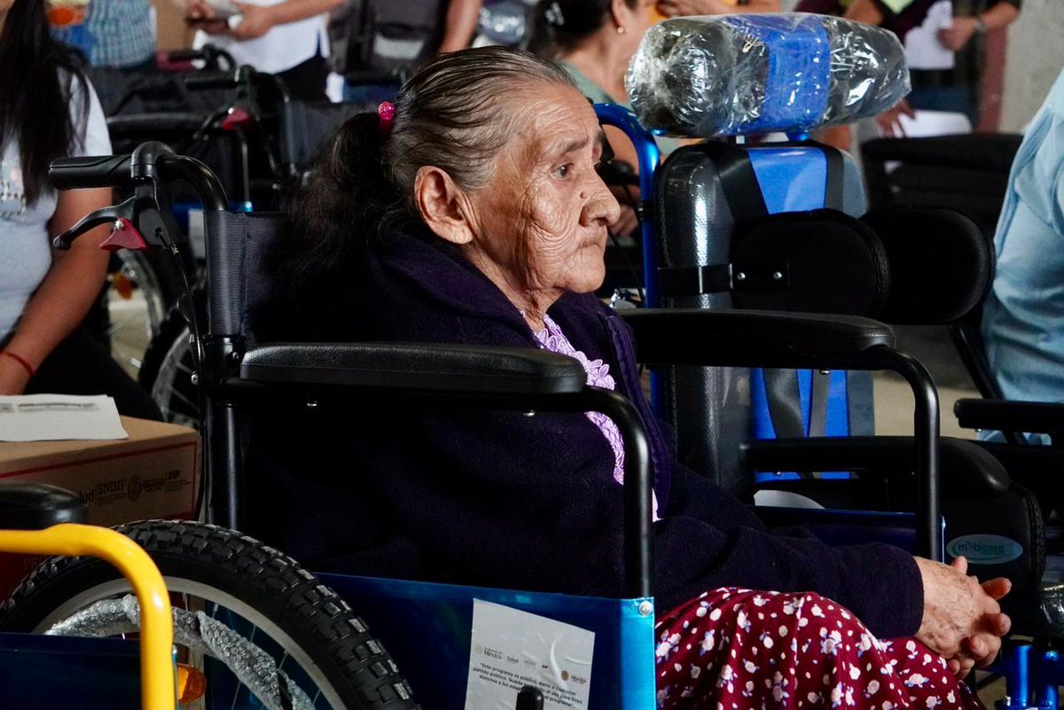 DIF Estatal Veracruz tweet media