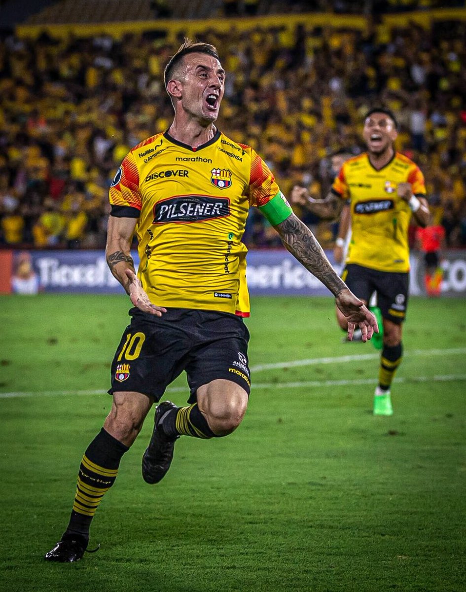 Gato Sessa🇩🇪 tweet media