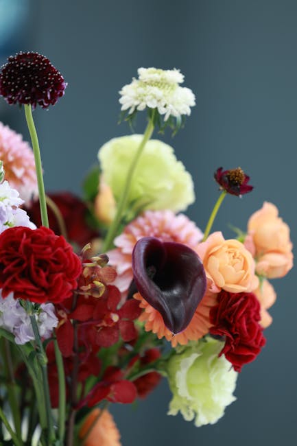 John Hoffman tweet media