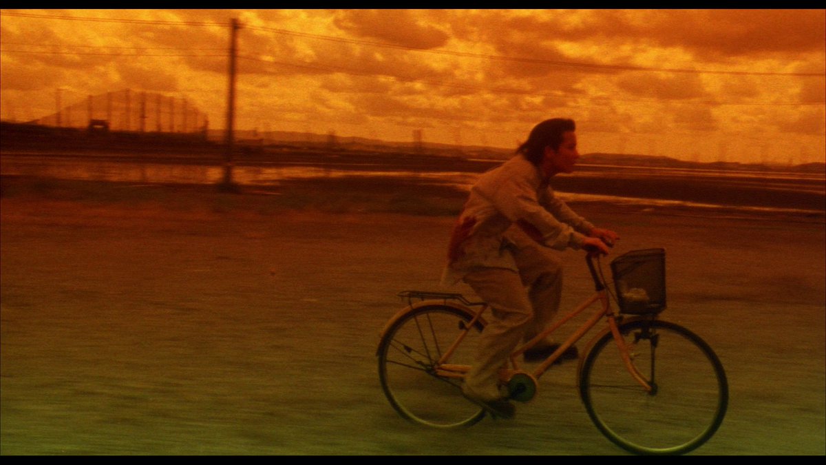 Nicolas Pedrucci tweet media