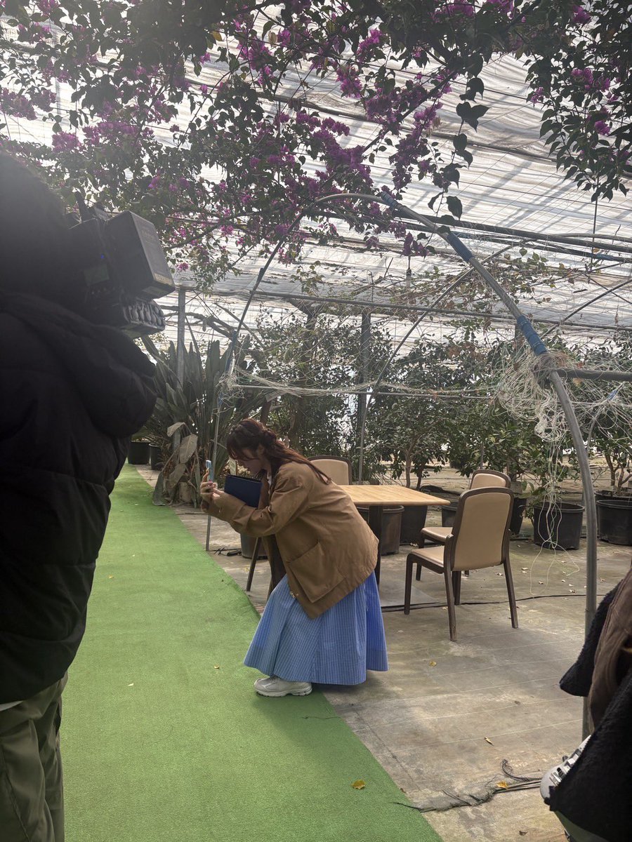 official_NGT48 tweet media