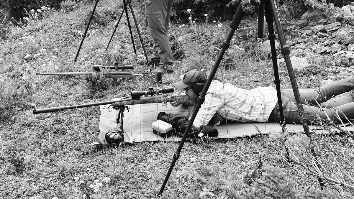 💲🆆𝐞ｅ𝒕 𝙏🅱️🄹 tweet media