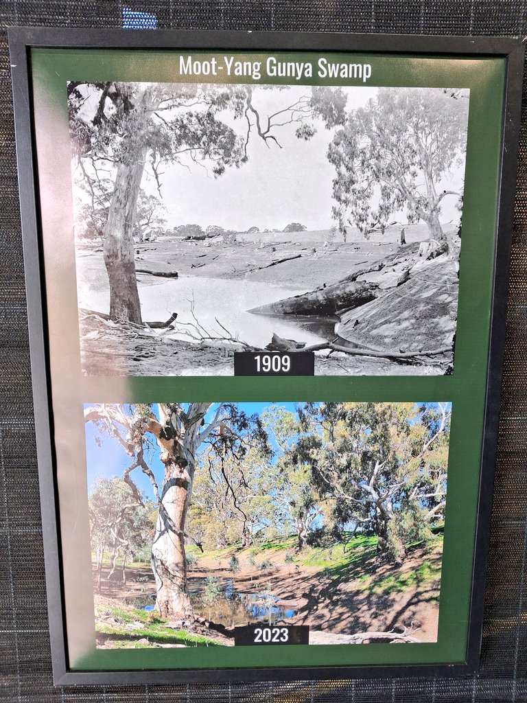 Agvocate_Au tweet media