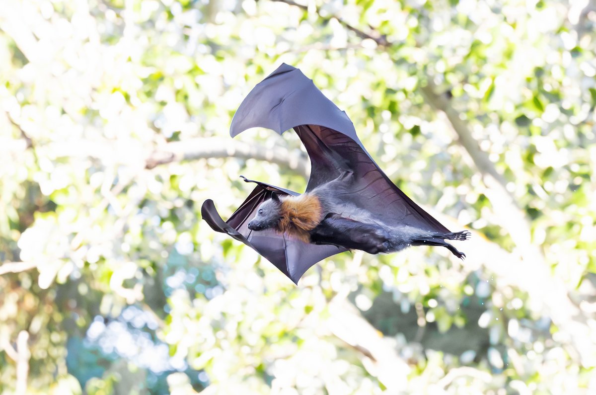 Sandy Horne tweet media