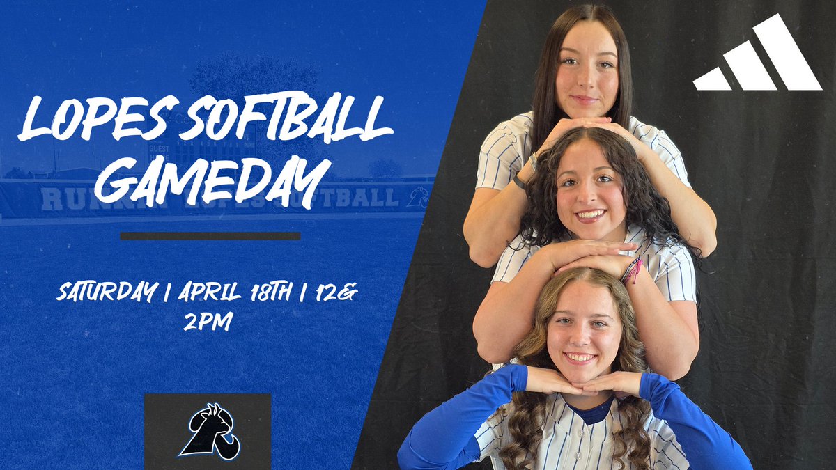Lamar CC Softball tweet media