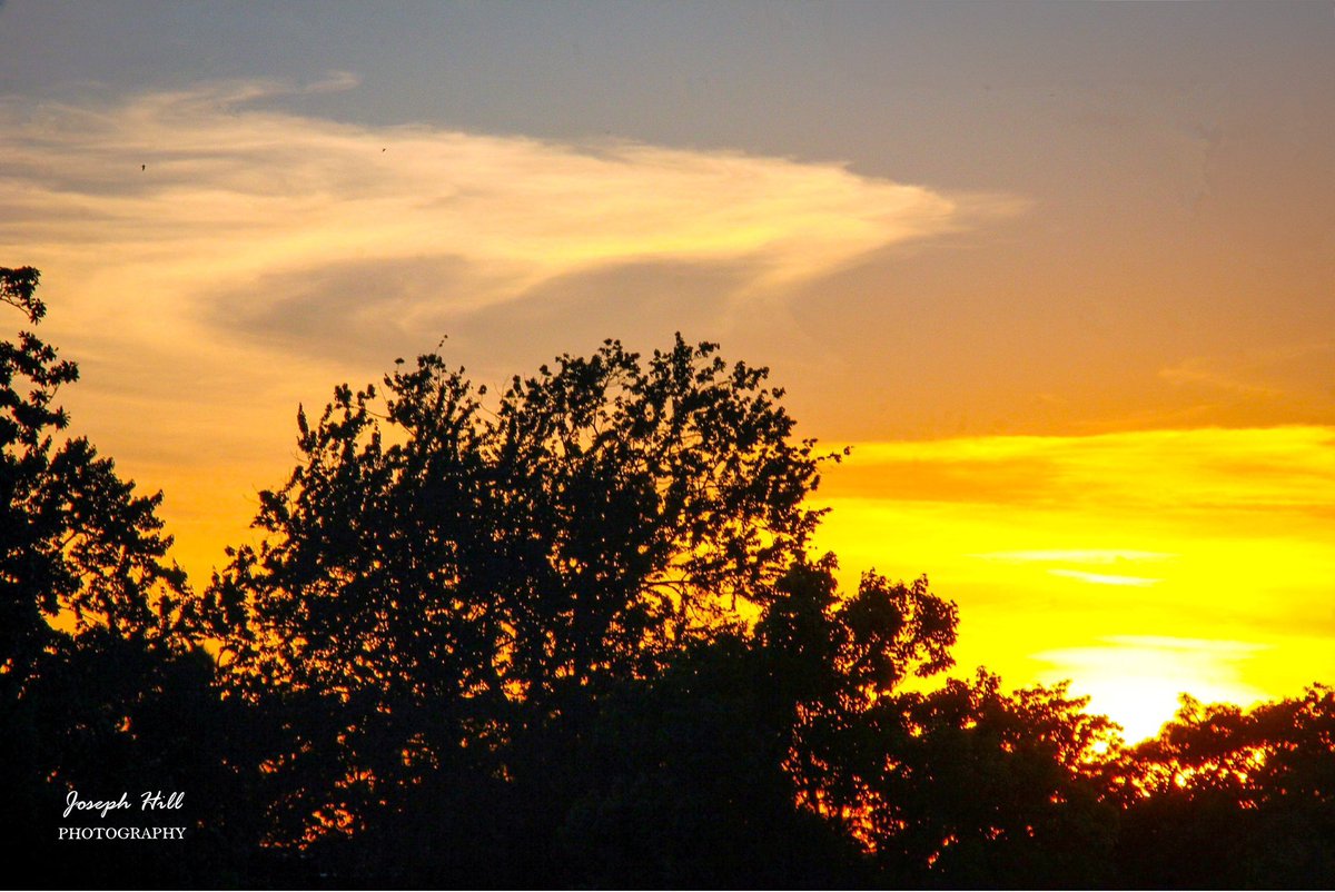 JosephHill3794's tweet image. Sunset☀️☁️🌳
#April2026 
Photo By: Joseph Hill🙂📸☀️

#sunset #cloudy #sky #evening #nature #trees #sunlight #beautiful #peaceful #daytime #sunsetphotography #NaturePhotography #SouthernPinesNC #April