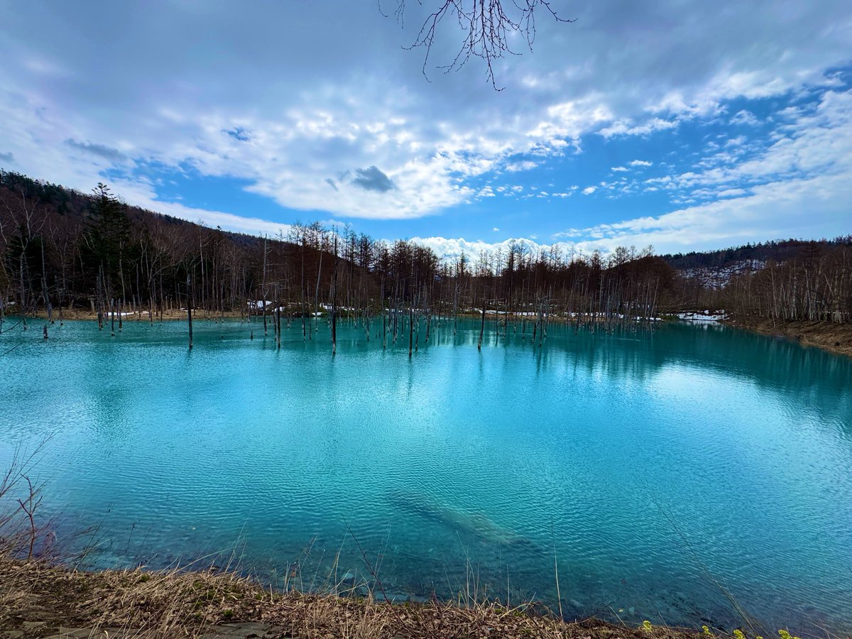 みーあ tweet media