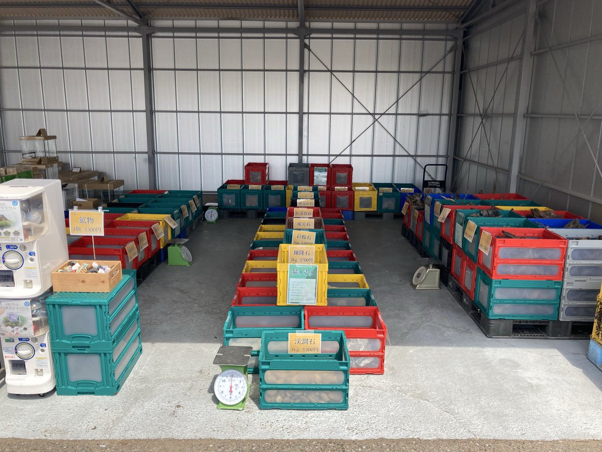 チャーム公式　流木・石【中の人】 tweet media