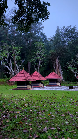 Good morning wishes to all 🥰