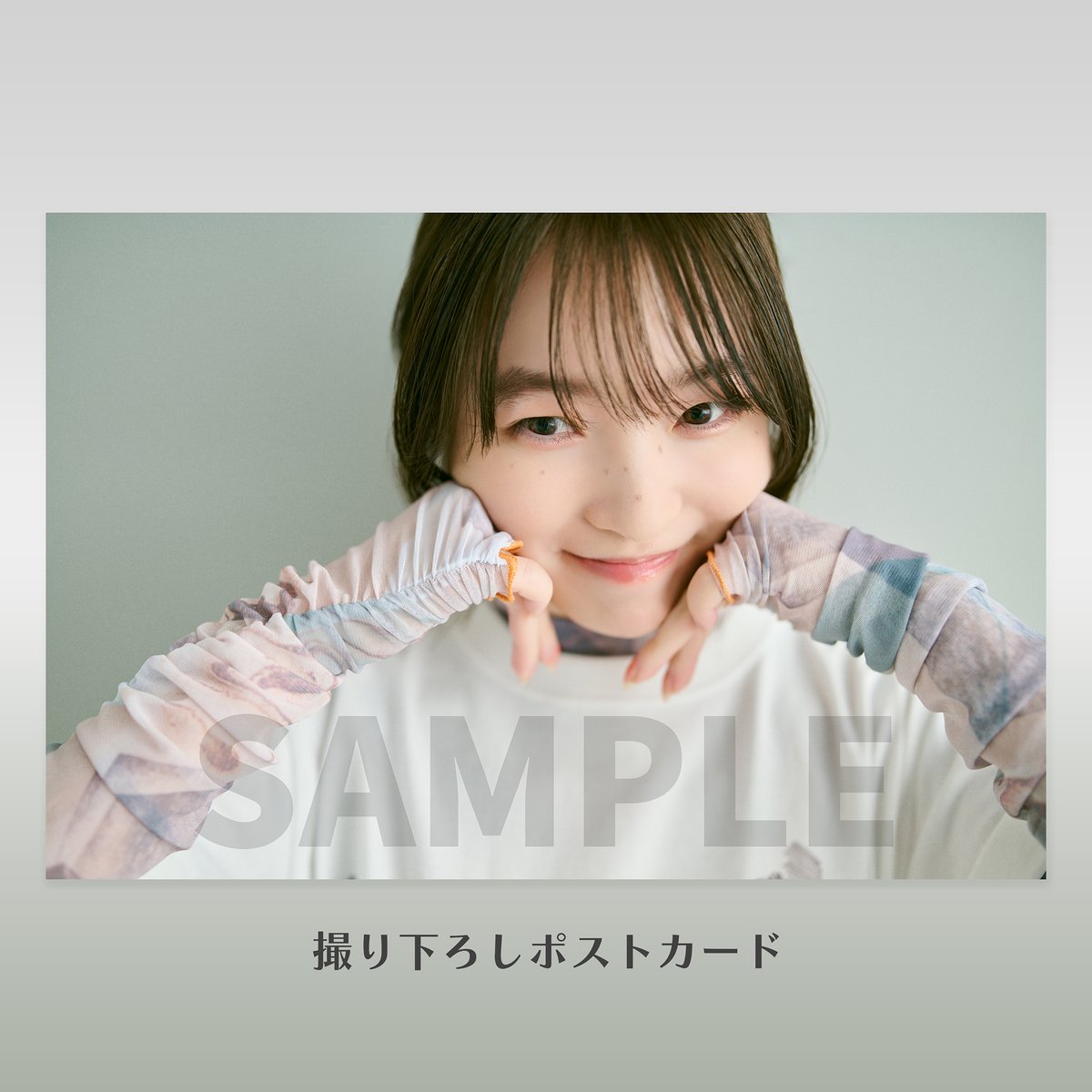 アニメ！アニメ！ tweet media