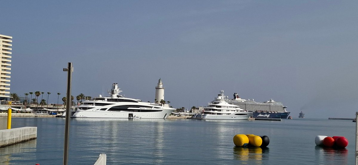 Окнини-сан tweet media