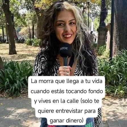 Neo Mexico tweet media