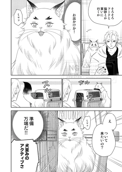 猫レンゴクのいる暮らし)アクティブ🐱 