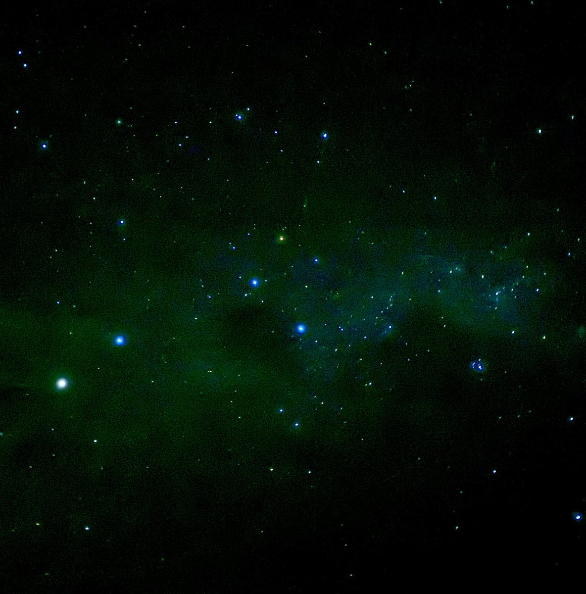 Benelux@旅猫車株 tweet media