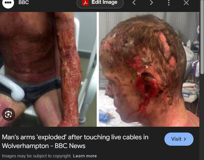 Pandalicious tweet media