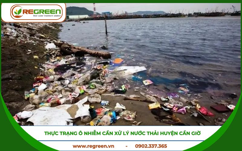RegreenVietNam's tweet image. Choosing the right wastewater treatment company in Can Gio is key to compliance &amp;amp; brand protection.
Regreen shares tech solutions, a clear 5-step process &amp;amp; cost factors for smarter decisions.
Learn more 👉 regreen.vn/cong-ty-xu-ly-…

#Wastewater #Vietnam #Compliance #Sustainability