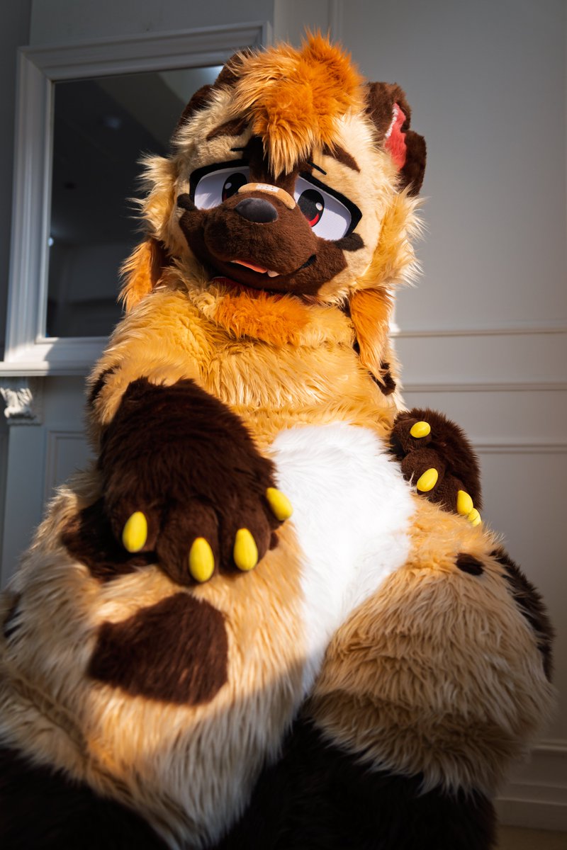 명이랑 후치 그리고 감자 tweet media