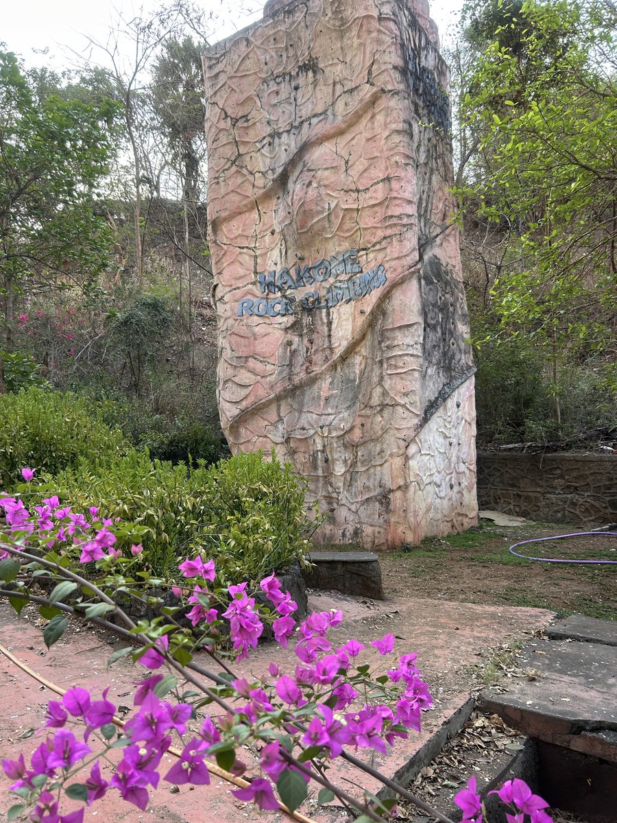 ngl I thought this was removed long back. Didn’t know it was hidden behind bushes