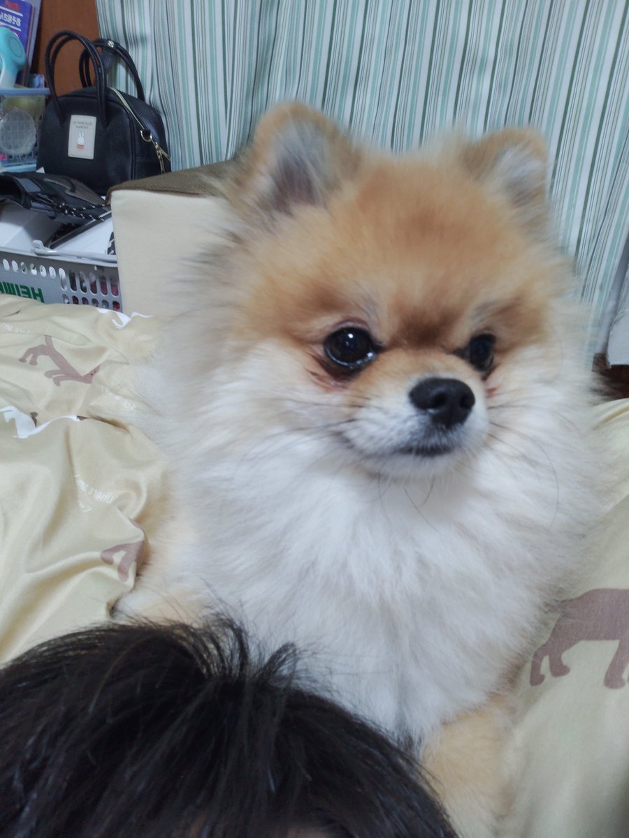 Shin(18)@蒼ちゃん推し tweet media