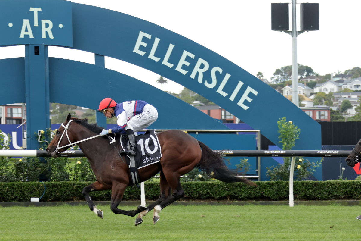 Ellerslie_Races's tweet image. Miss Janet and Michael McNab lead all the way comfortably winning the SkyCity Star Way Stakes.

@goracingnz I @marshracing