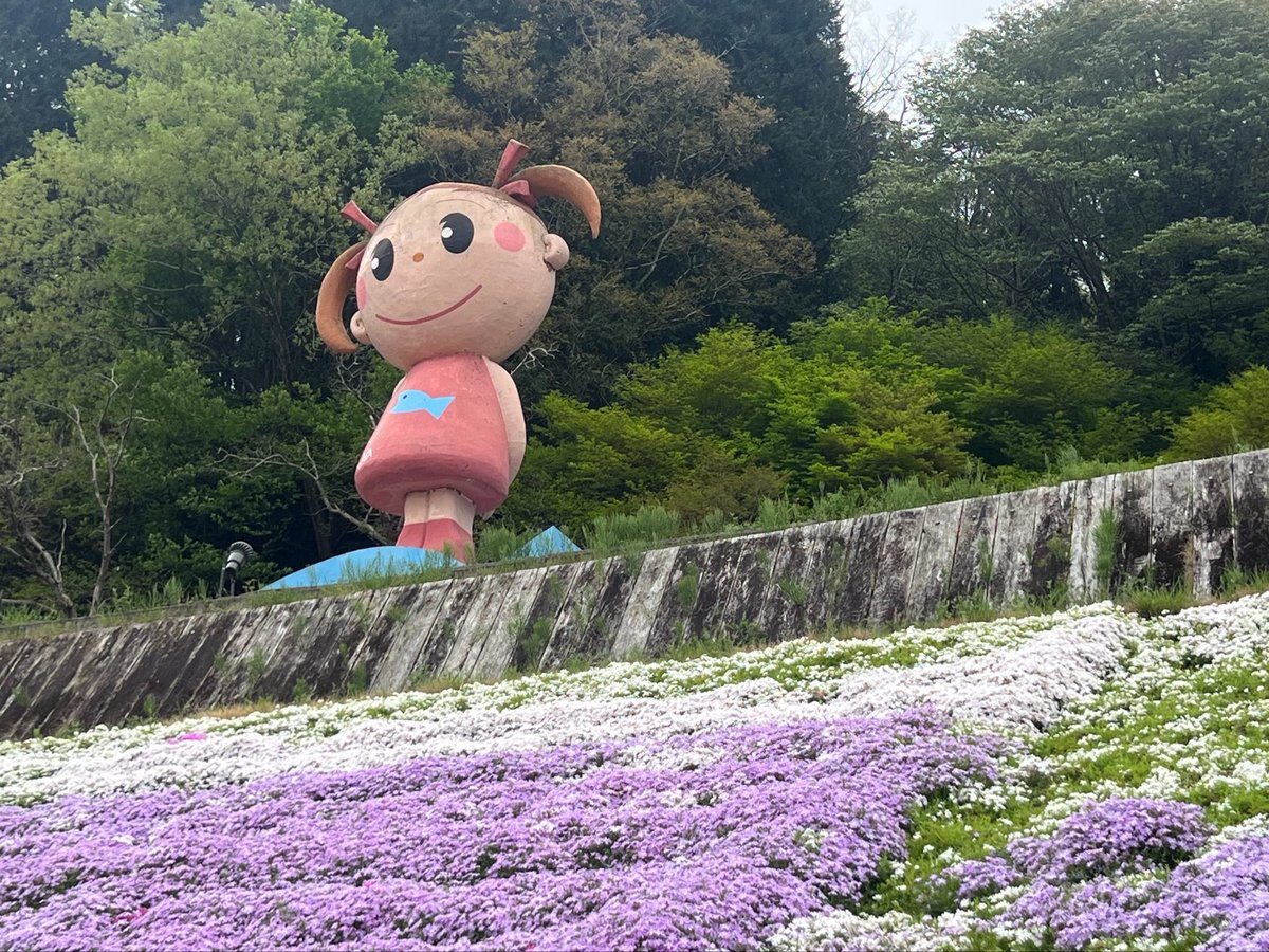 マグナ tweet media