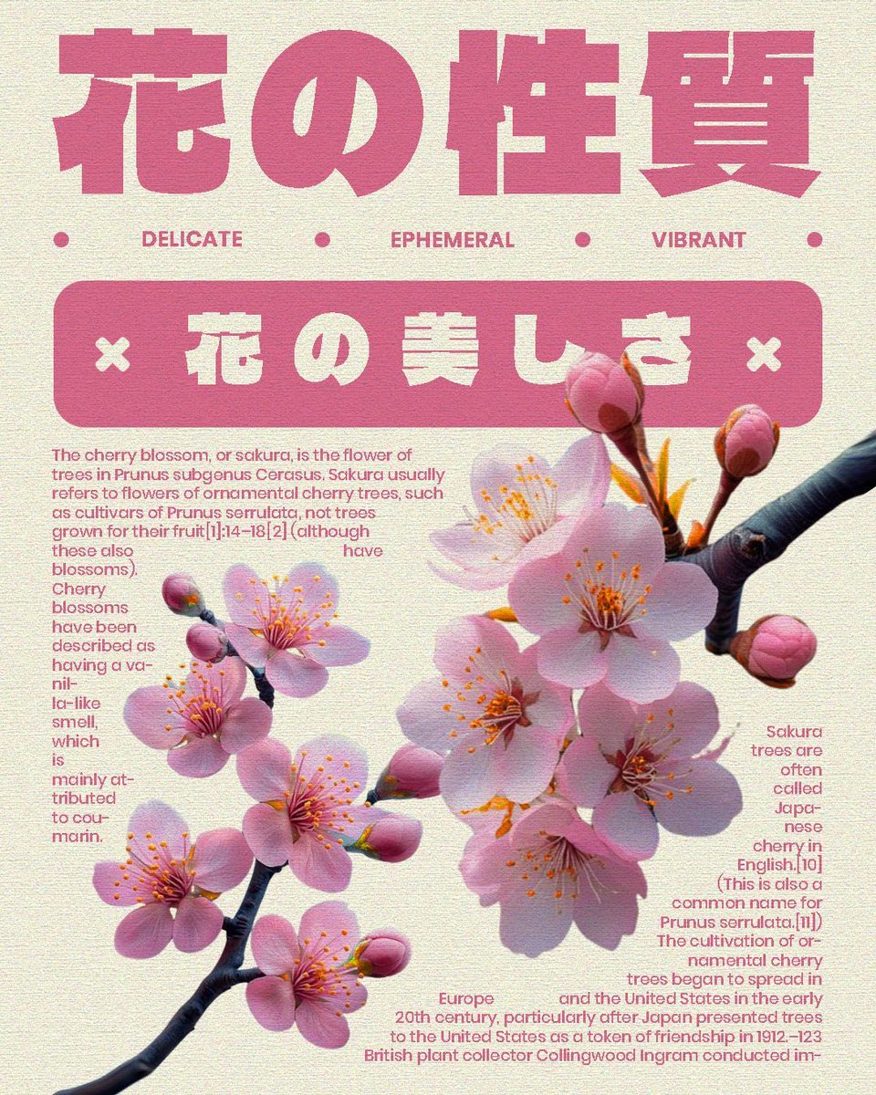 𝓓uda 𝜗𝜚⋆.𐙚 ̊. tweet media