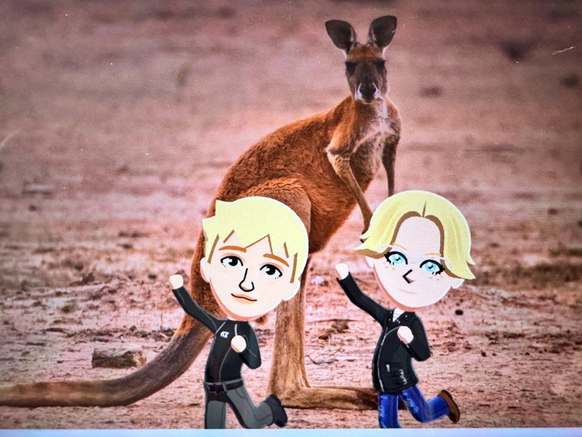 ミサ🐿️misa-skz tweet media