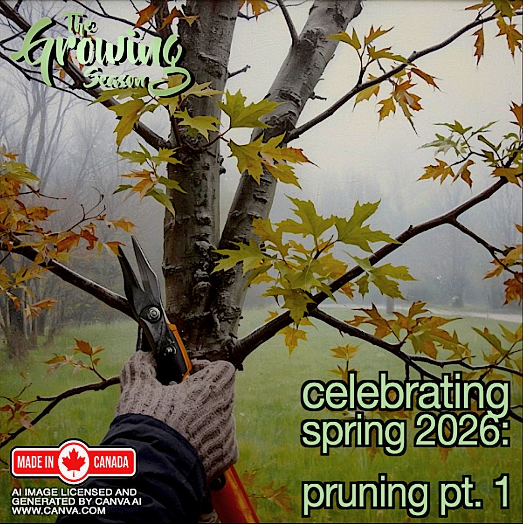 GrowingSeasonJM's tweet photo. When these rain storms end maybe it’s time to try your hand at pruning. Follow a few basic rules then let’s proceed.  Join The Growing Season for their Celebrating Spring, 2026 Pruning Part 1 Show on April 18 and 19 at 10:00am. @Sauga960am.  https://t.co/oEBJYfySGY https://t.co/ZknD3Mlq5R