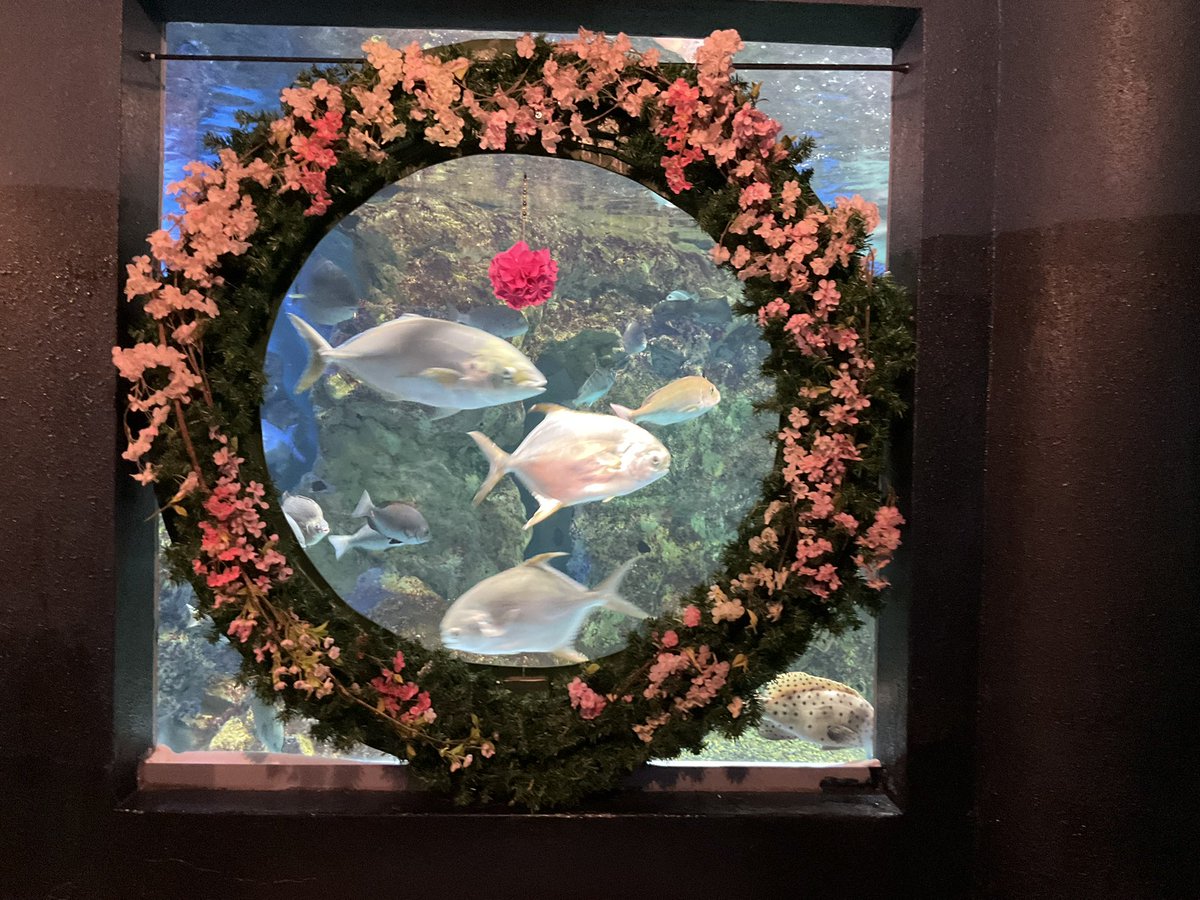 寺泊水族博物館【公式】 tweet media