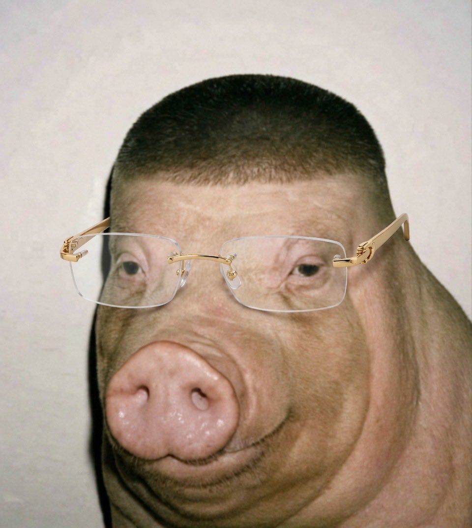 HowlingWiggerPig 🇺🇸 tweet media