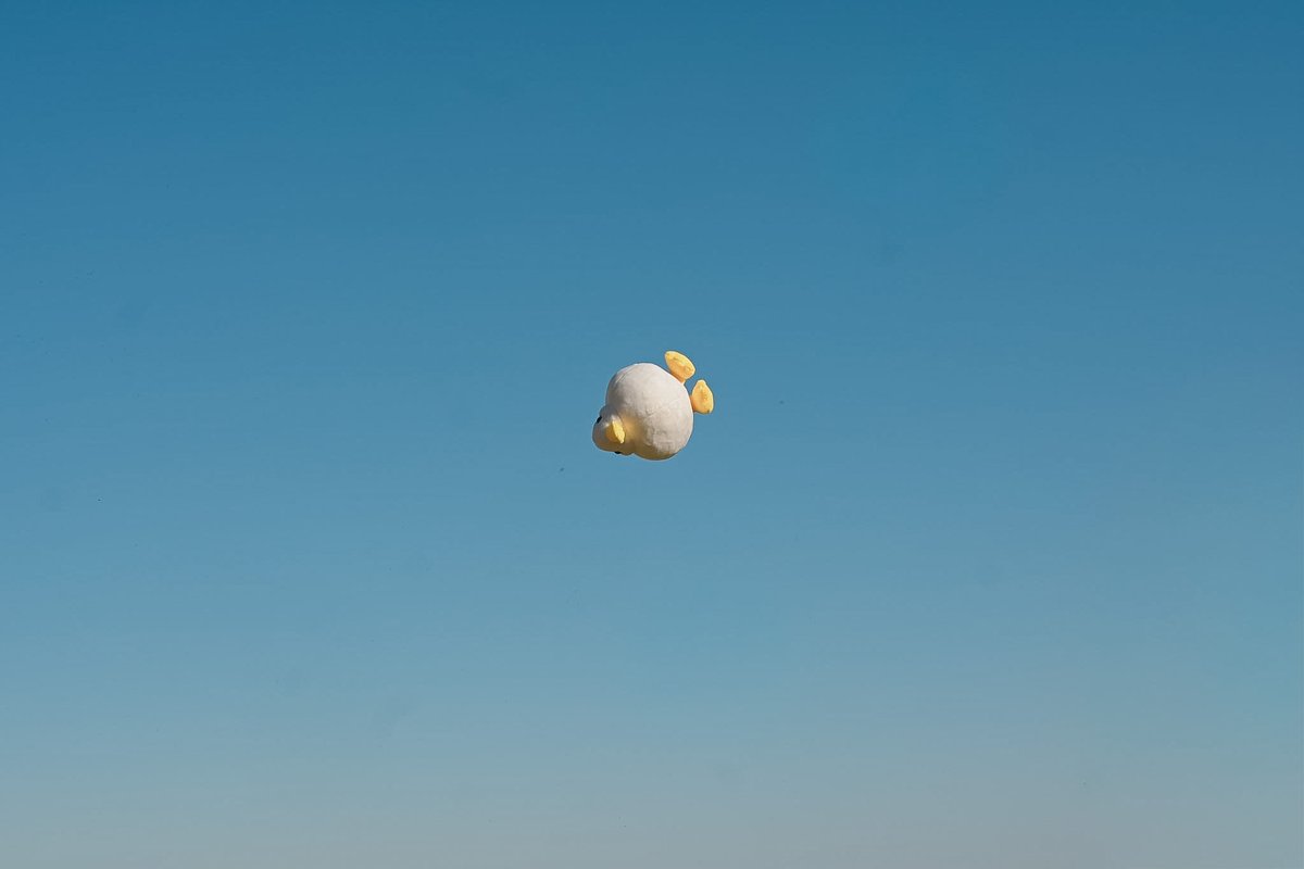 もんとみ｜もっちり動物造形作家 tweet media