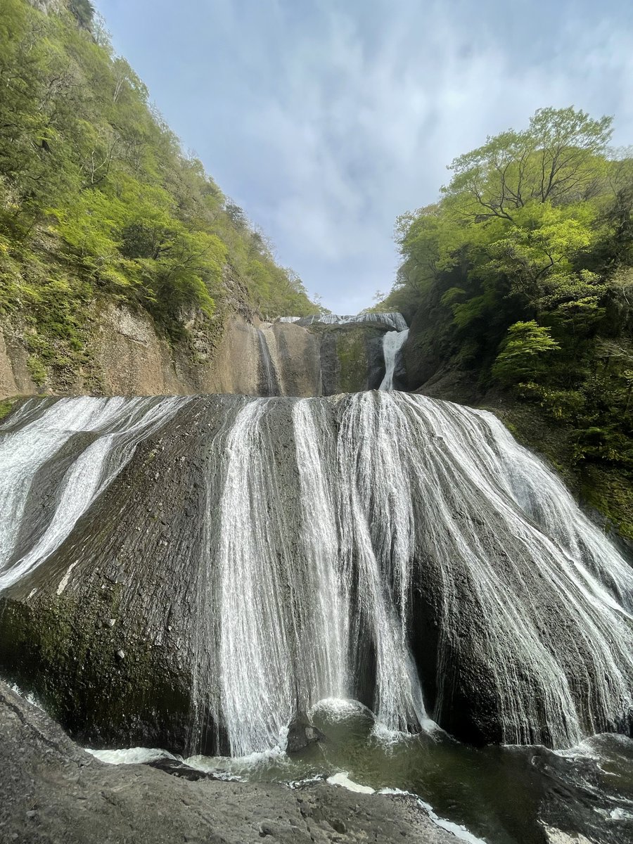 あひる tweet media