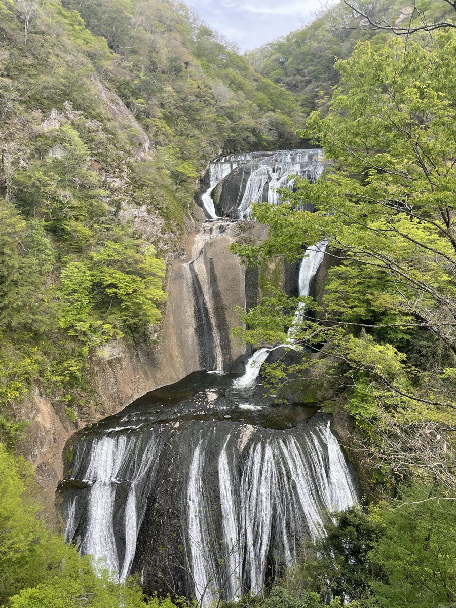 あひる tweet media