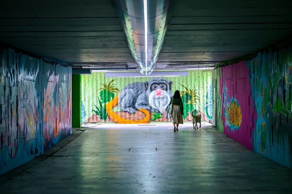 Vassil Terziev tweet media